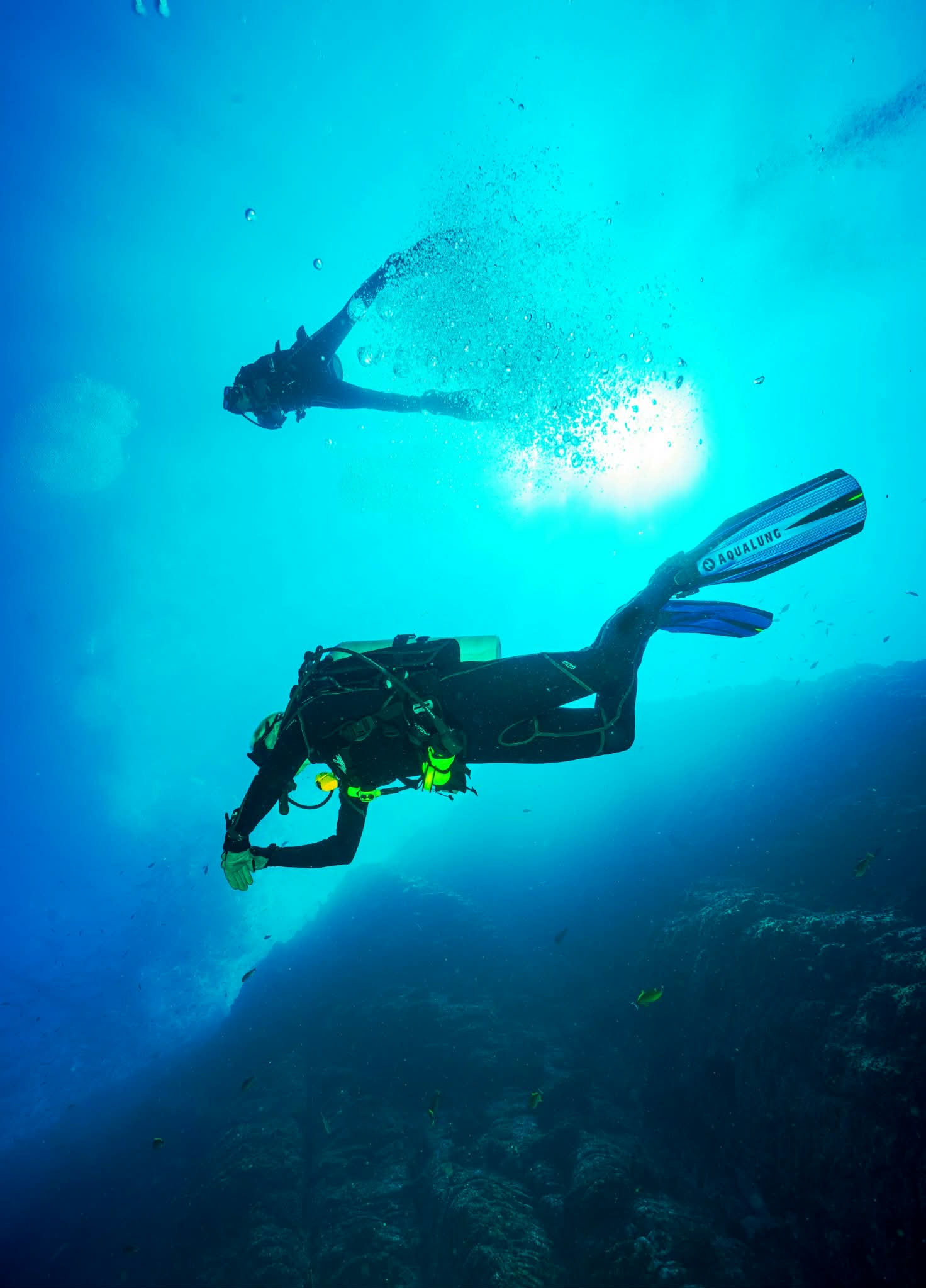 scuba divers into the blue