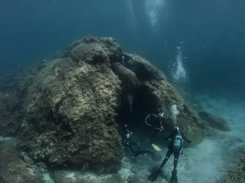 petalo1 dive site1
