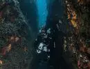 Sierra Dive Site
