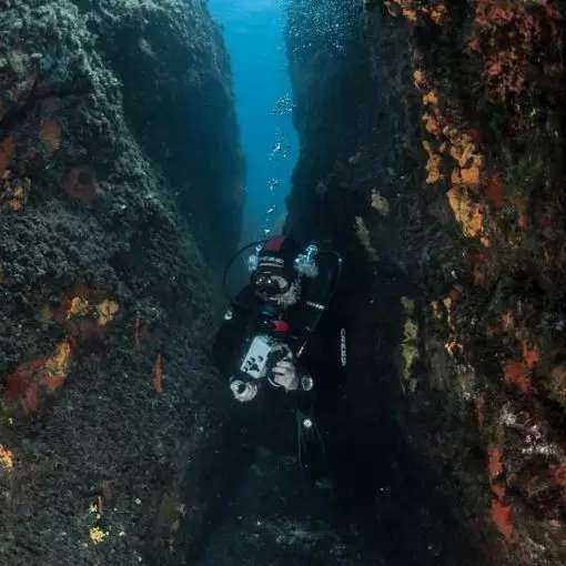 Sierra Dive Site