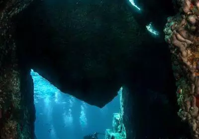 Twin Rocks Dive Site