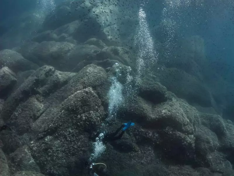 oceanida divesite5