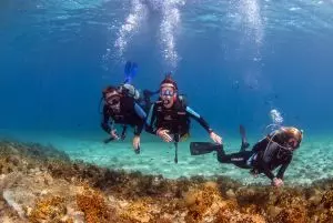 couplediving1 couplediving1