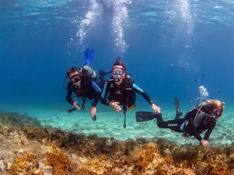 couplediving1 couplediving1