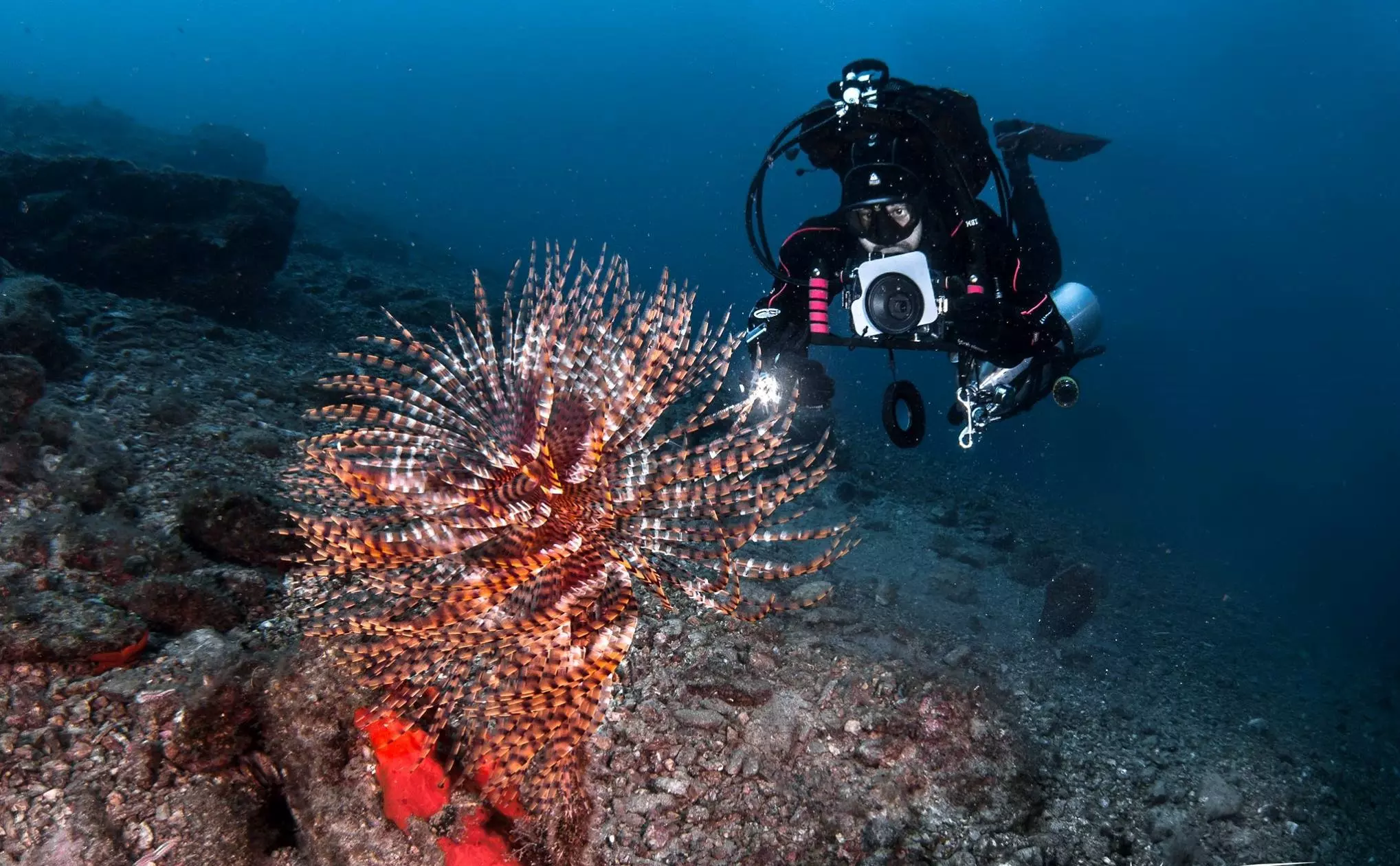 boat diving athos scuba