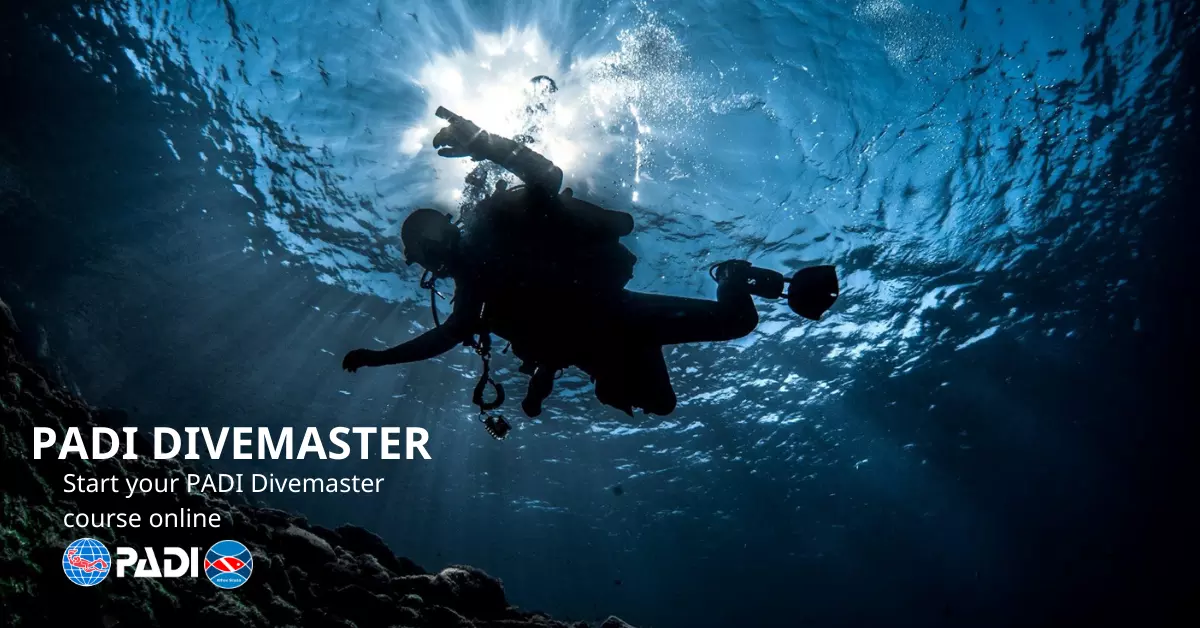 padi_divemaster_course_chalkidiki