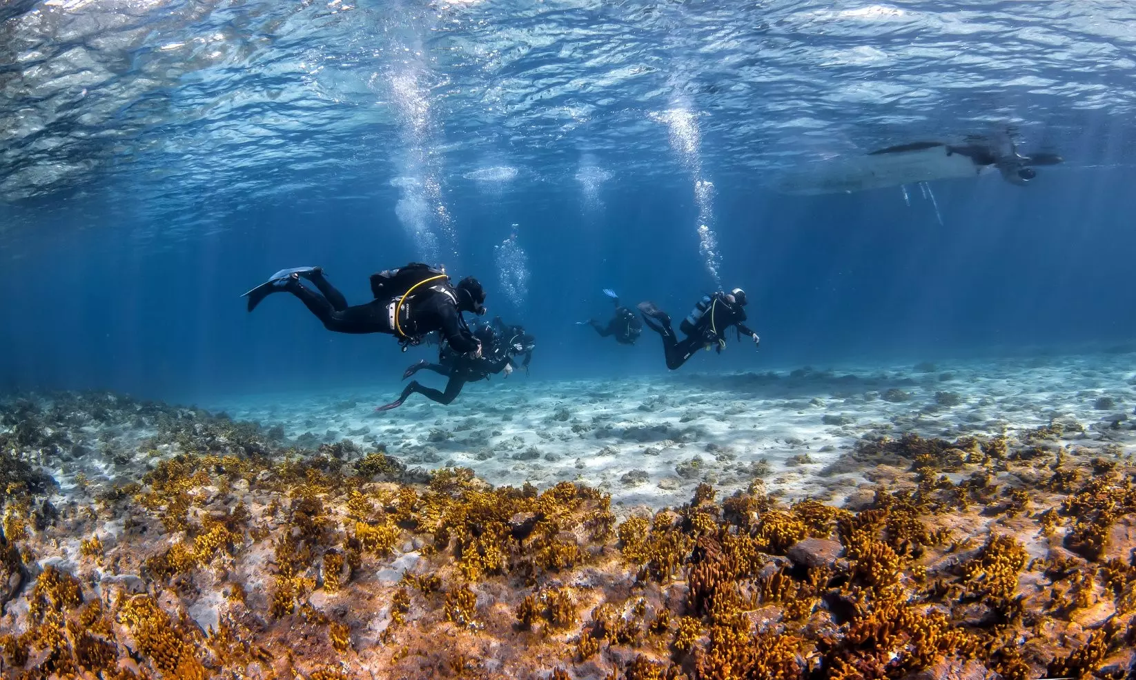 Beginner scuba divers during PADI Scuba Diver course in Ammouliani Island Halkidiki