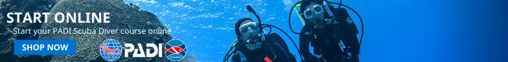 padi scuba diver course