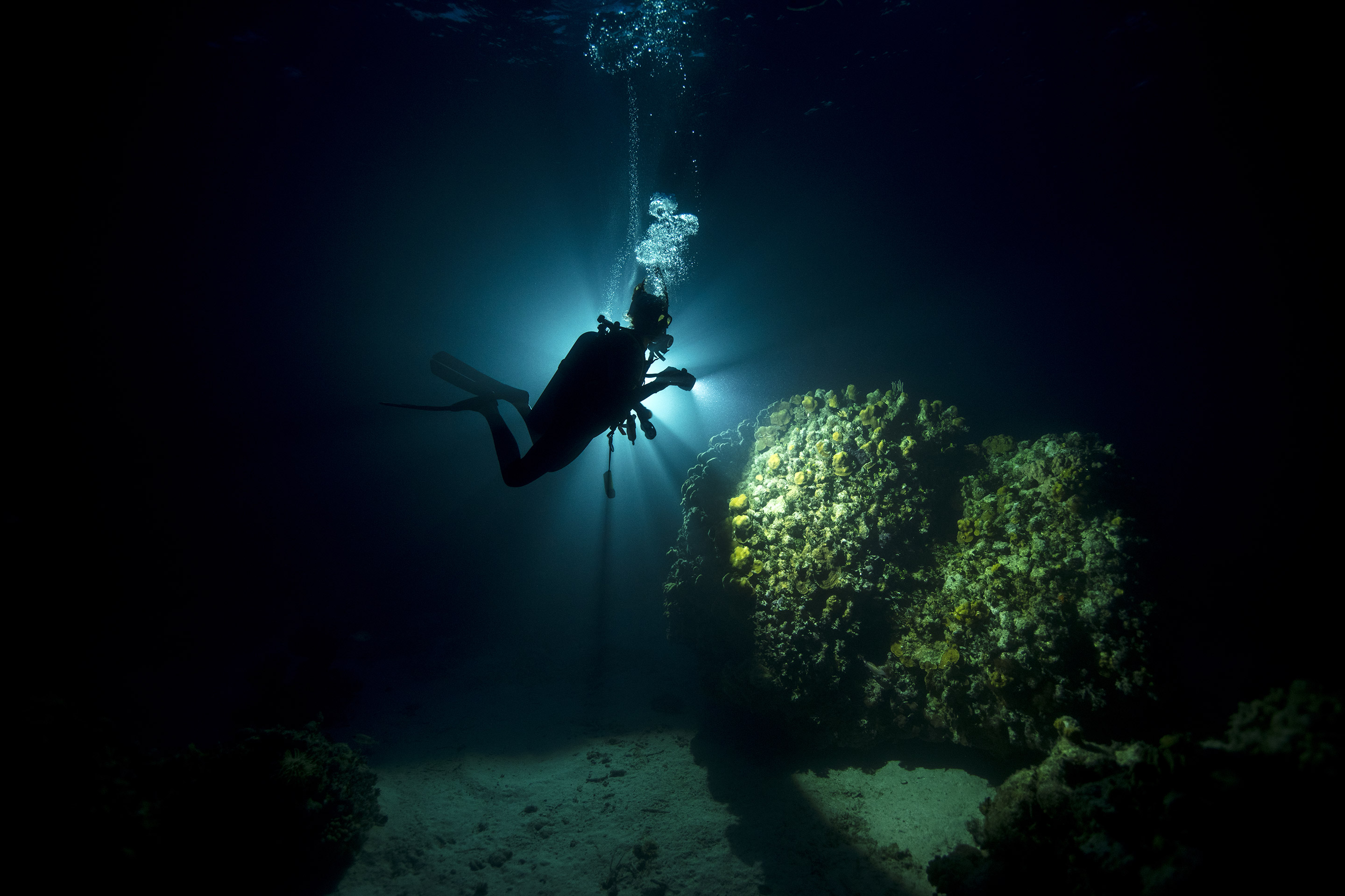 diver during PADI advanced certification