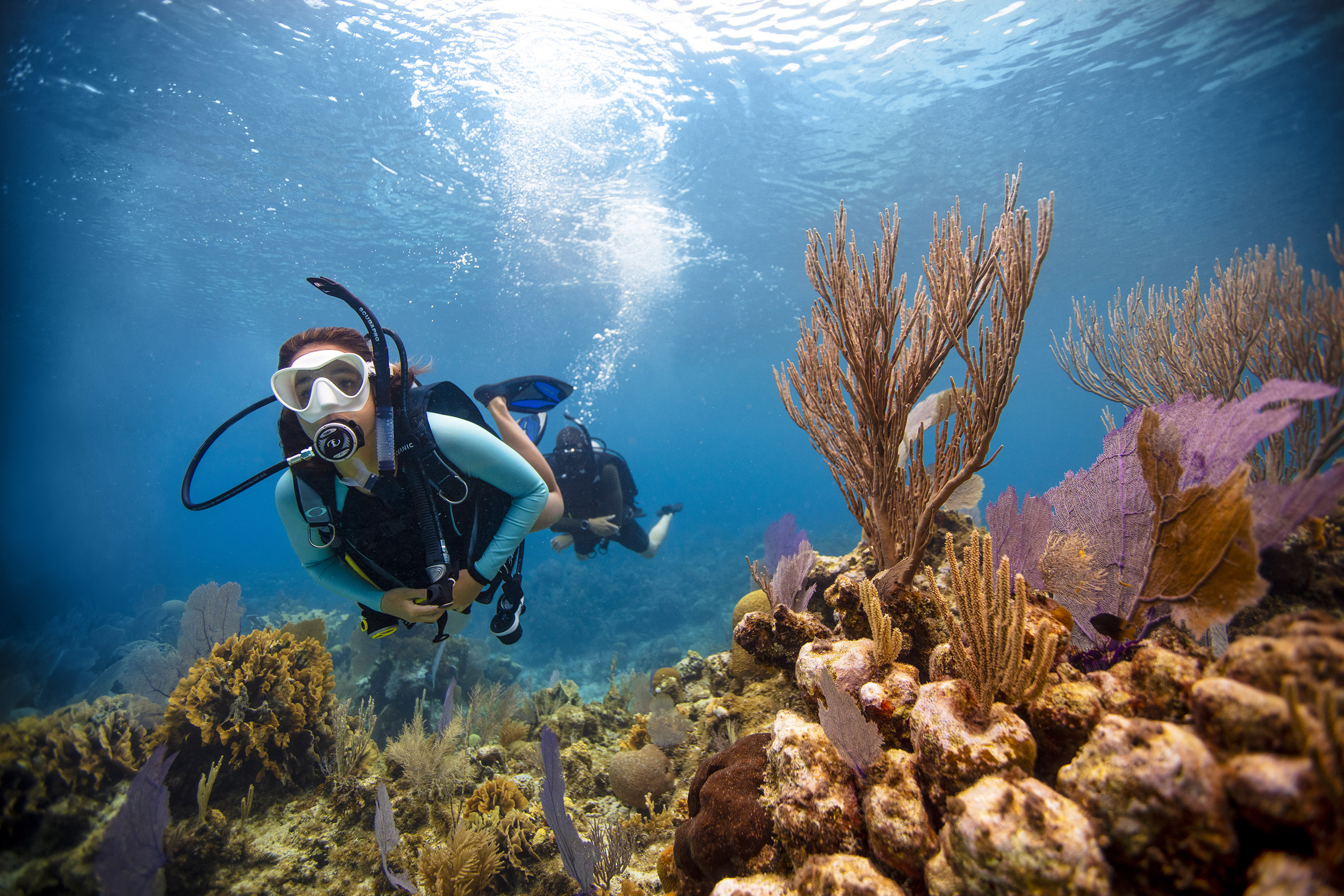 Athos Scuba Diving Center
