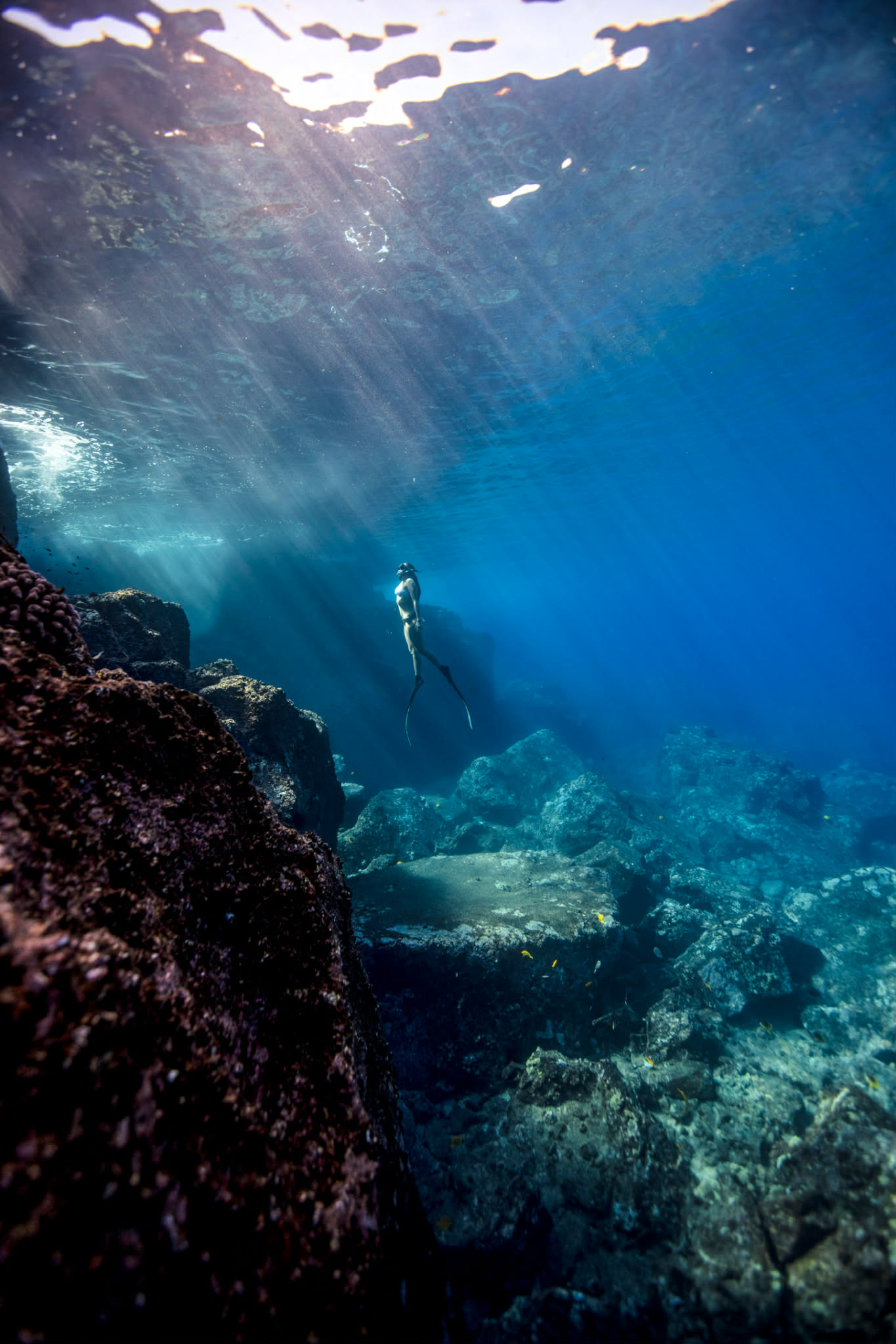 Snorkeler εξερευνά τα κρυστάλλινα νερά της Αμμουλιανής στη Χαλκιδική
